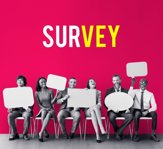 Survey