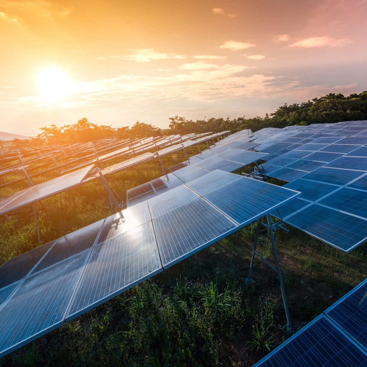 Beautiful Sunset Over Solar Farm