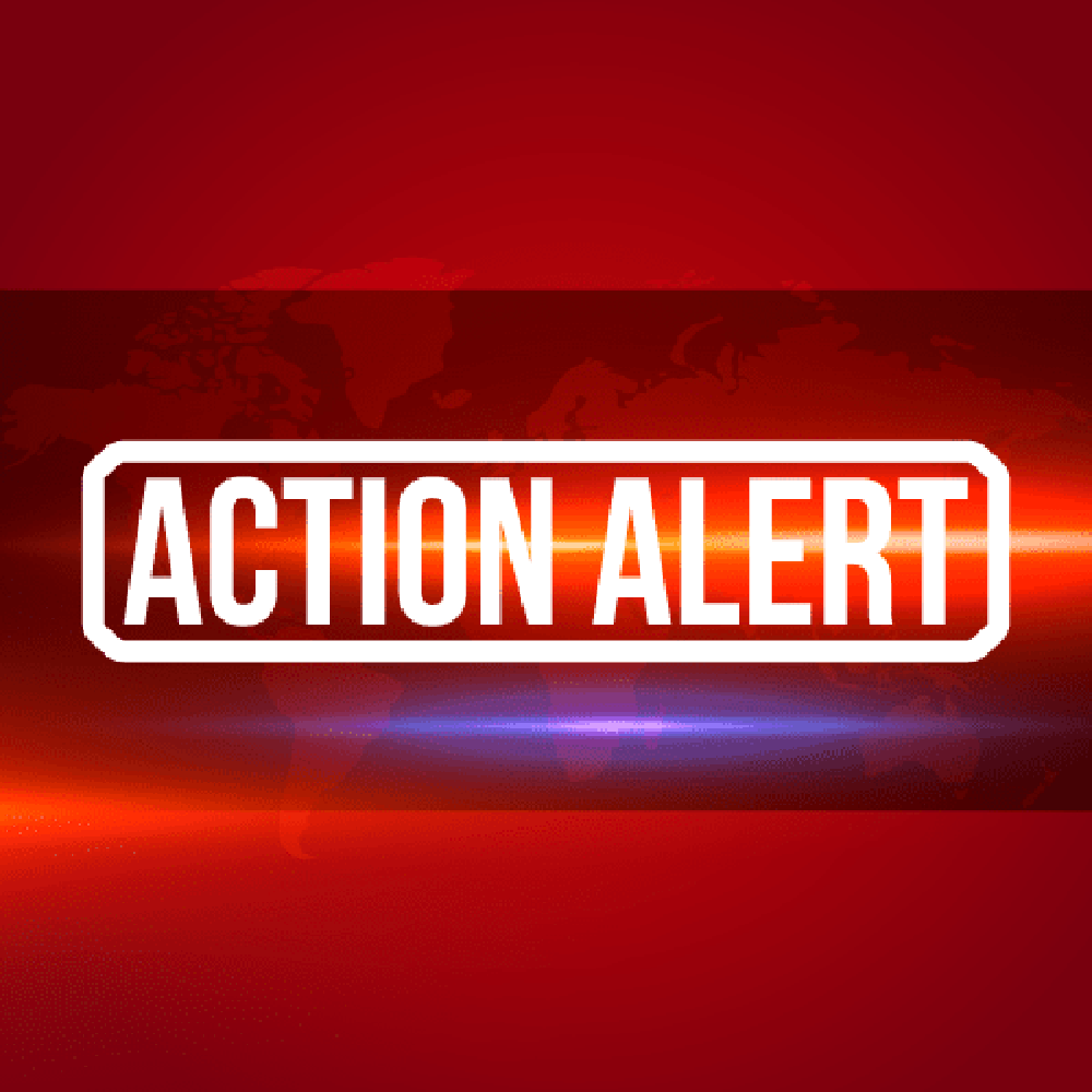 Action-Alert3 Action Alert