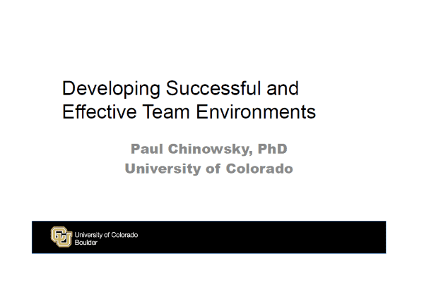 Developing successful and effective team environments