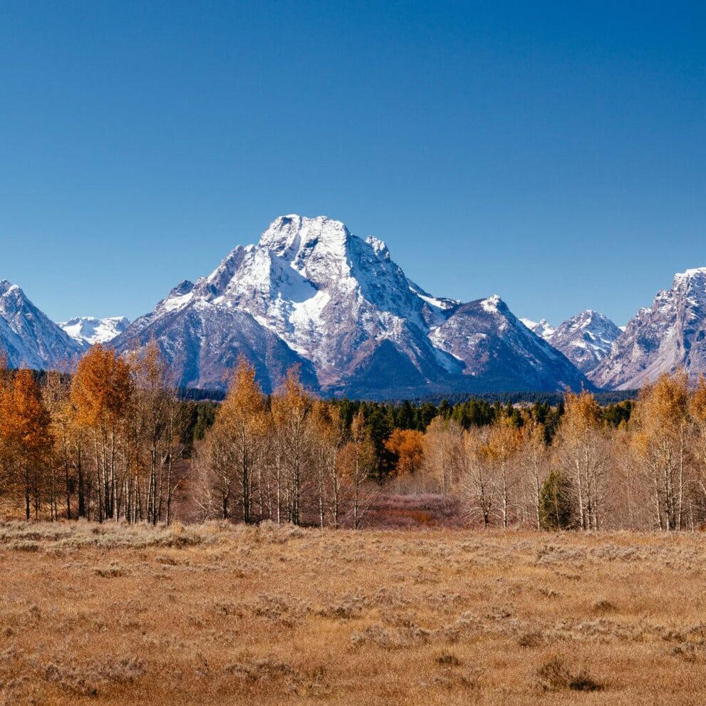 Oxbow Bend viewpoint on panorama of mt. Moran and wildlife, Grand Teton National park, Wyoming, USA