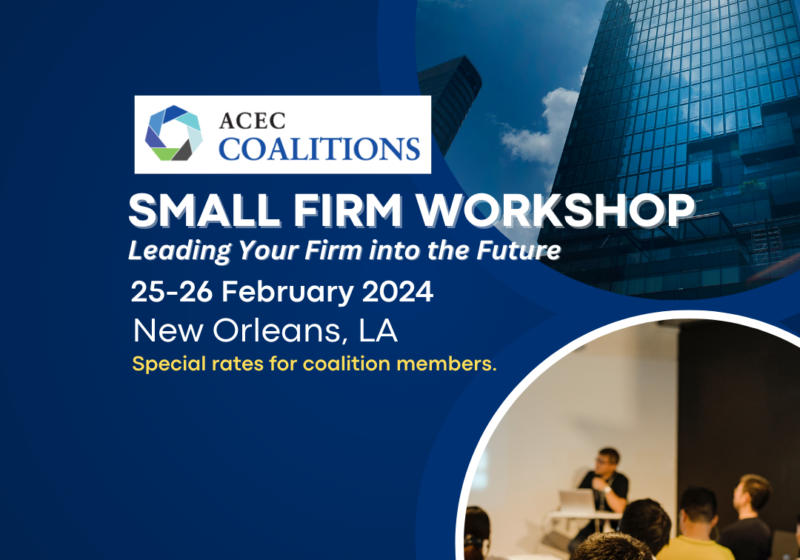Small Firm Leading Your Firm into the Future ACEC